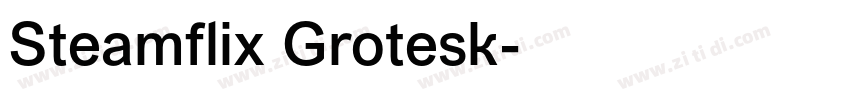 Steamflix Grotesk字体转换